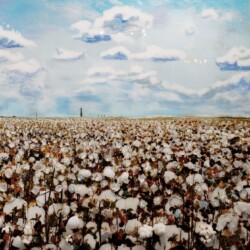 Cotton Field Study #2 48x48